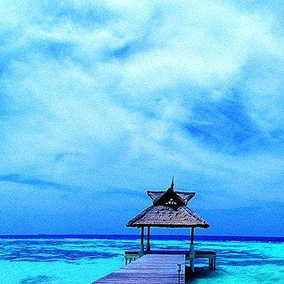 AG大厅网址截图